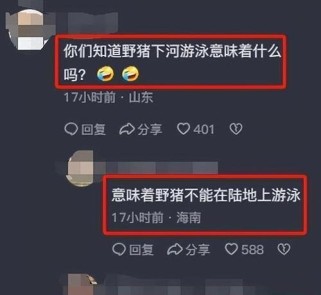 如何学习游泳并熟练掌握靠岸技巧？（新手游泳必备技能与技巧，让你自信游向岸边）